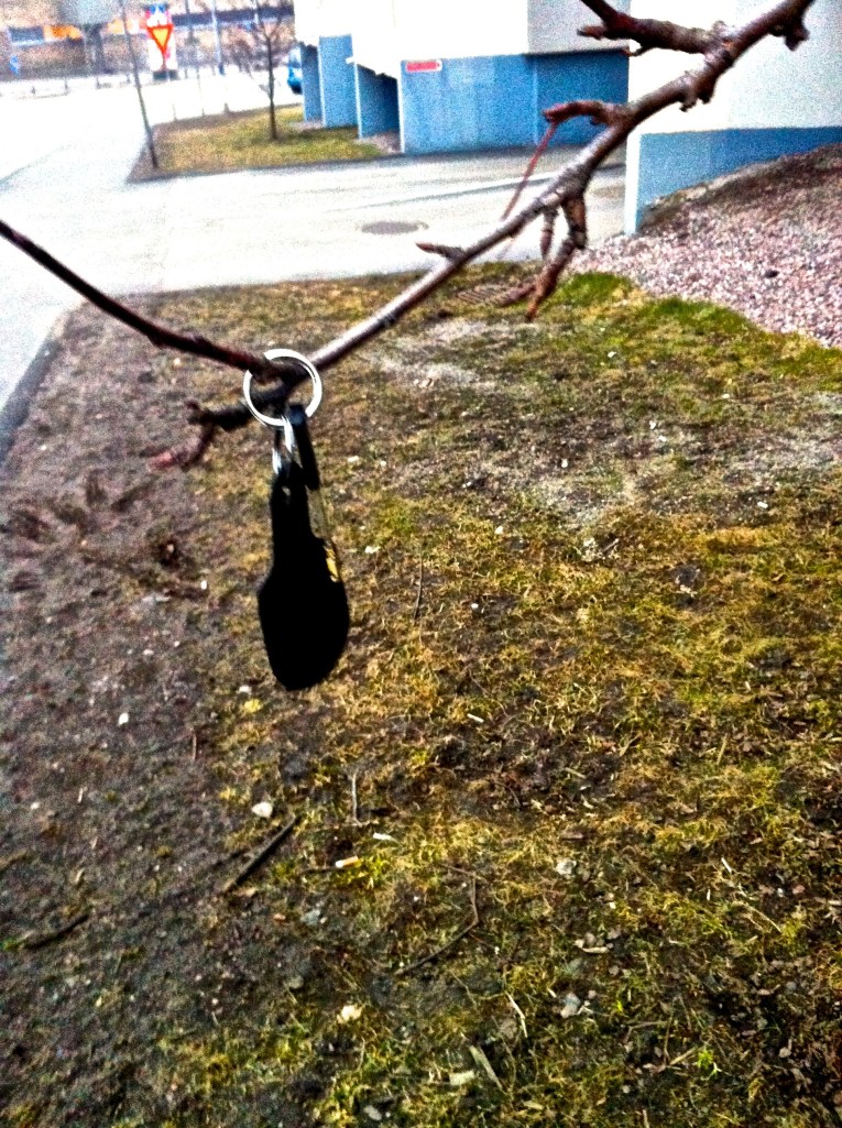 Lost key placed in a bare spring tree