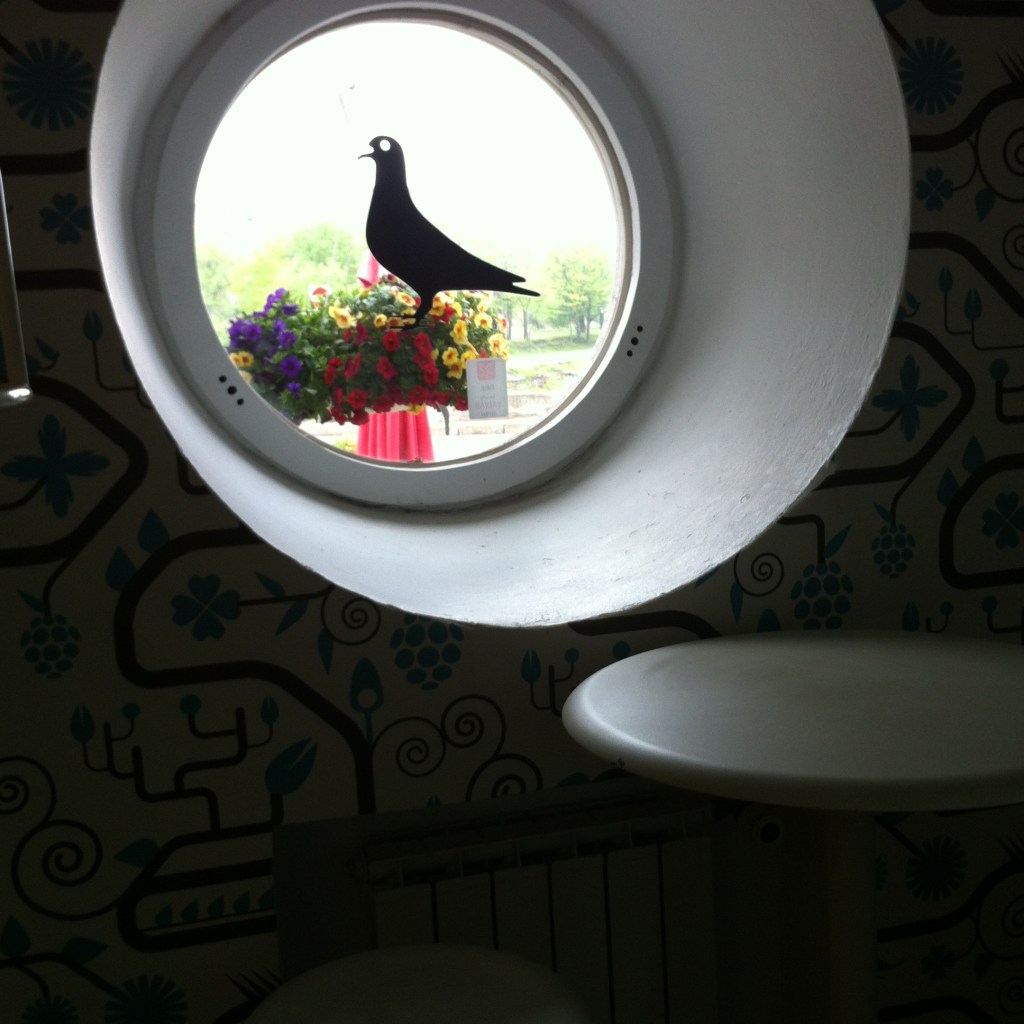 2014.5TallinnBirdWindow