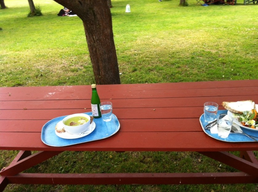 Picnic Benches in the Orchard of Rosendals Trädgård Stockholm
