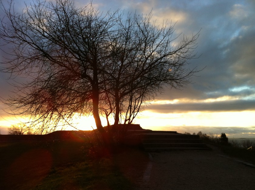 2014-12 Solstice Hill Tree Noon Winter