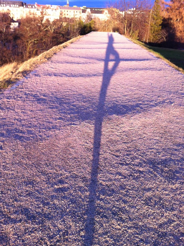 2014-12 Solstice Shadow Tree