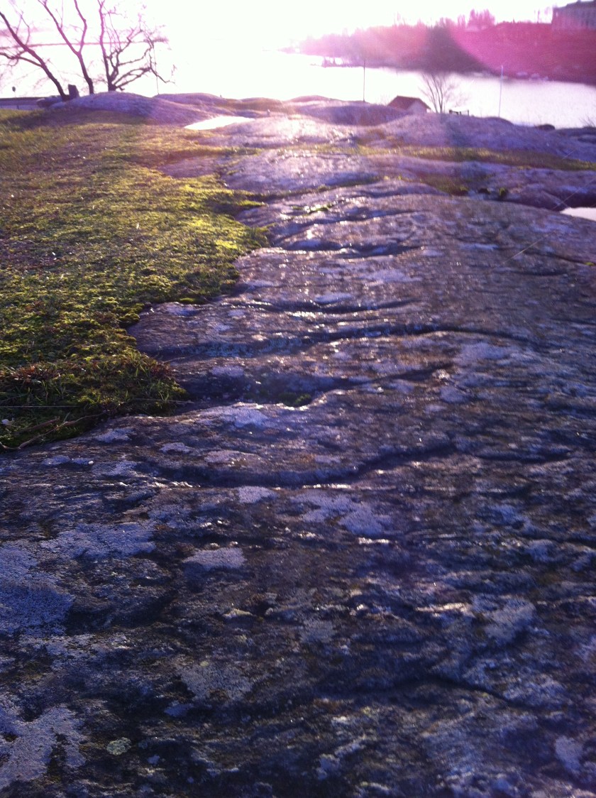 2014-12 Solstice Lichens